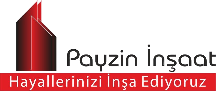 Payzin Logo